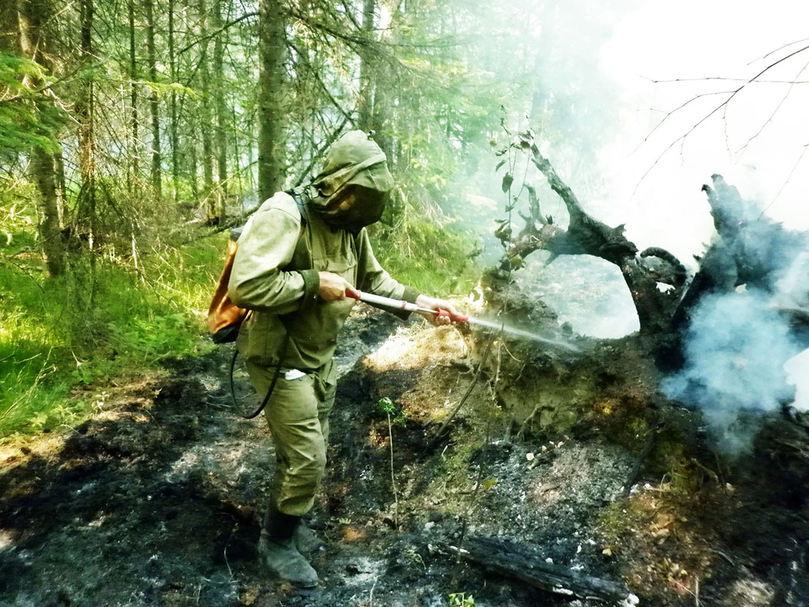 На тушении пожара в одном из лесничеств района
